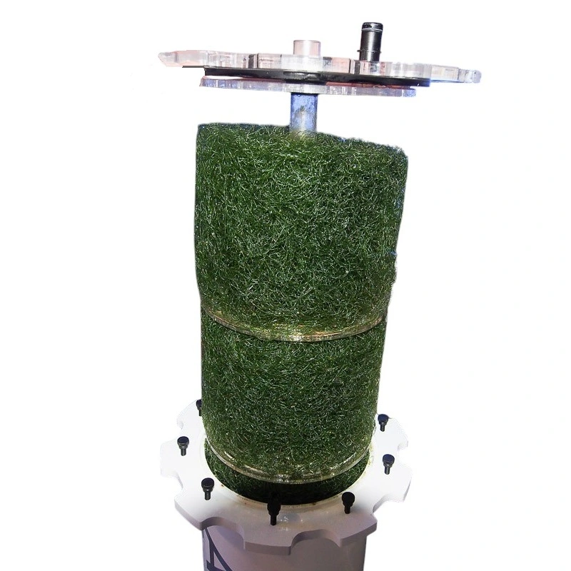 Pax Bellum NO3/Mo 5% Sol 1000 ml