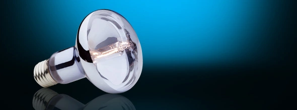 Exo Terra Sun Glo Halogen 100 w