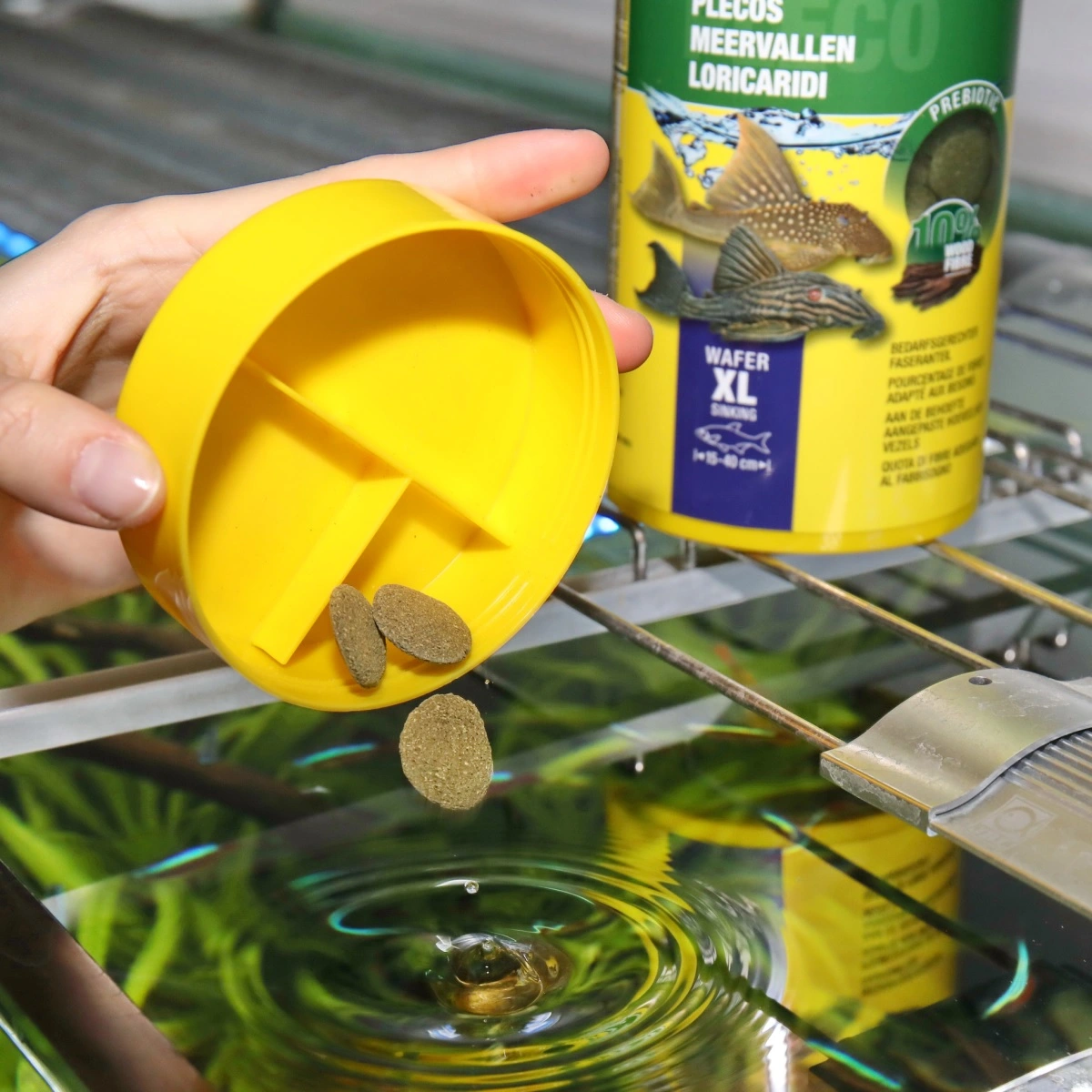 JBL ProNovo Pleco Wafer XL 1000 ml