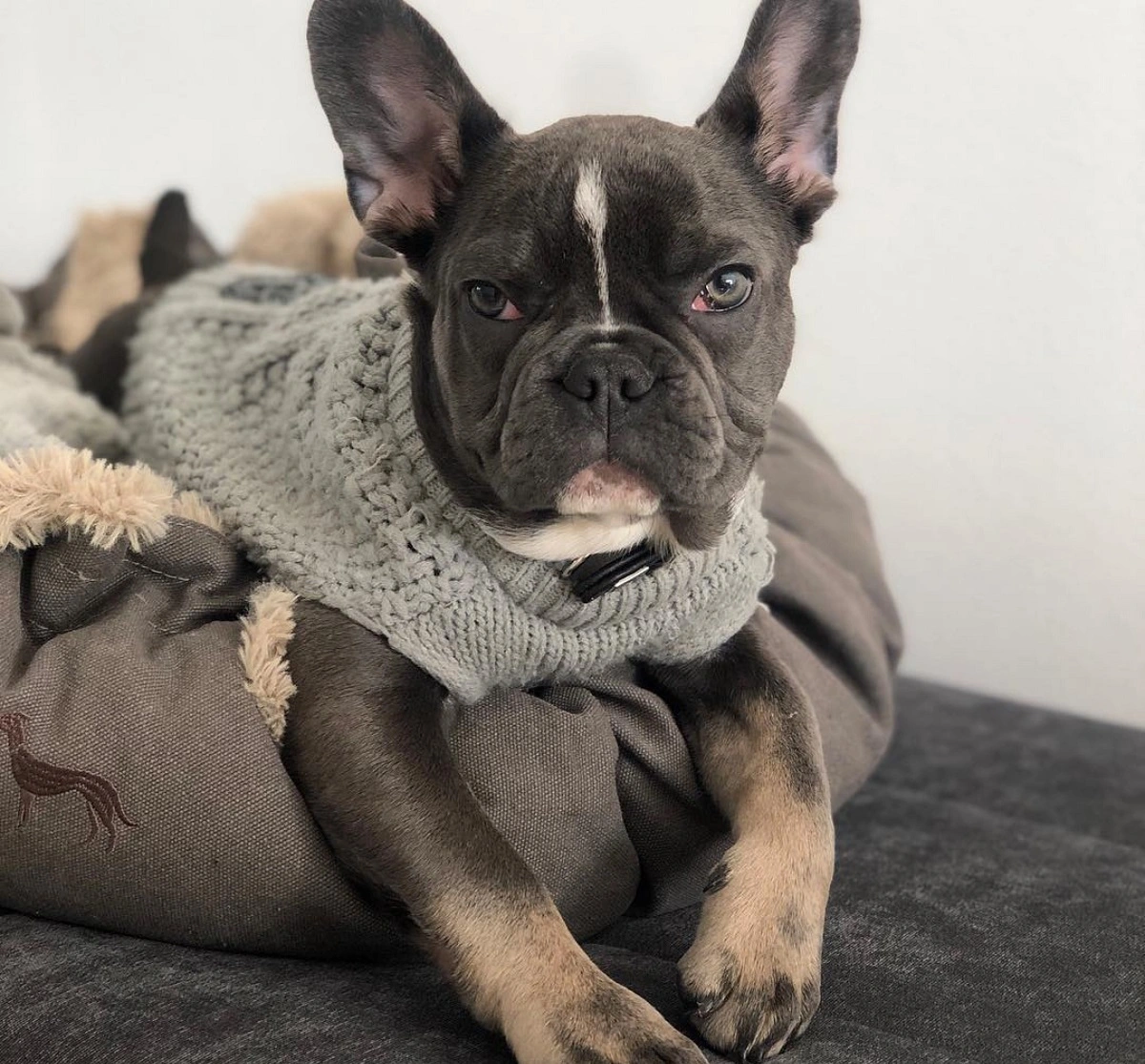 Hunter Malmø pullover strik grå str 35