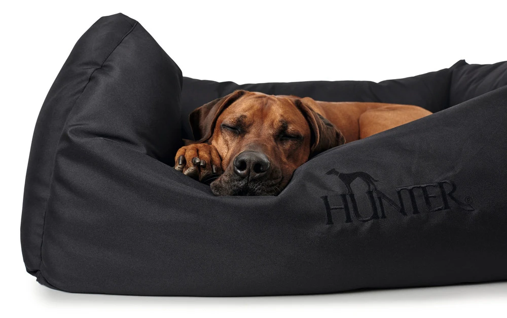 Hunter hundeseng Gent antibakteriel Medium 80x60 cm Sort