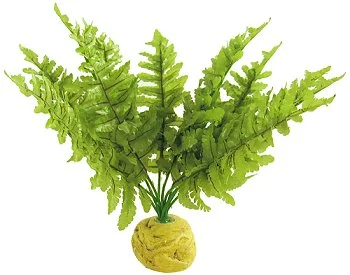 Exo Terra Boston Fern (medium)