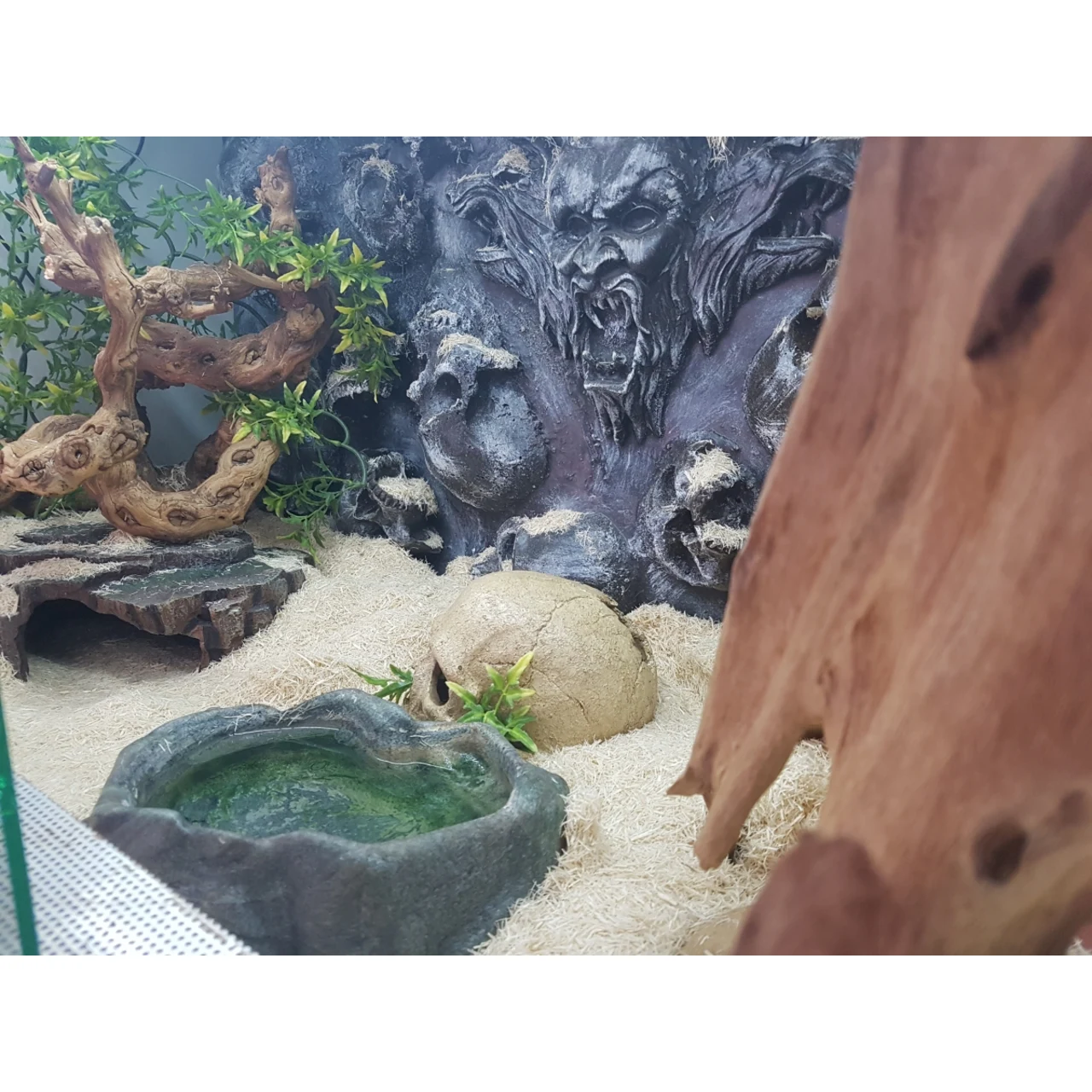 Exo Terra Snake Bedding 8,8 L