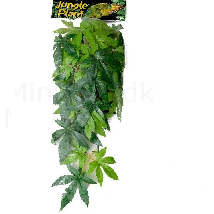 Exo Terra Abutilon lille