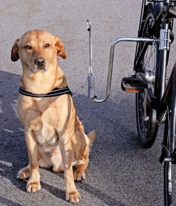 Springer komplet Cykelbeslag