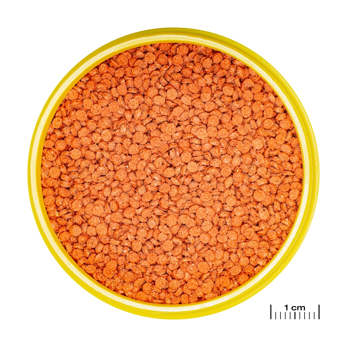 JBL ProNovo Bits Diskus Grano M 250 ml Click