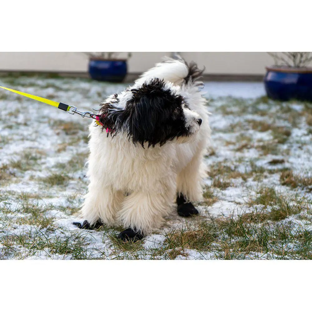 Ozami hundesokker XS sort - 4 stk til små hundepoter