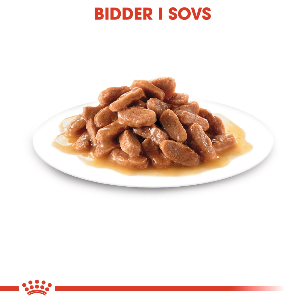 Royal Canin Second Age Kitten Sterilised  Sovs - vådfoder 85 g