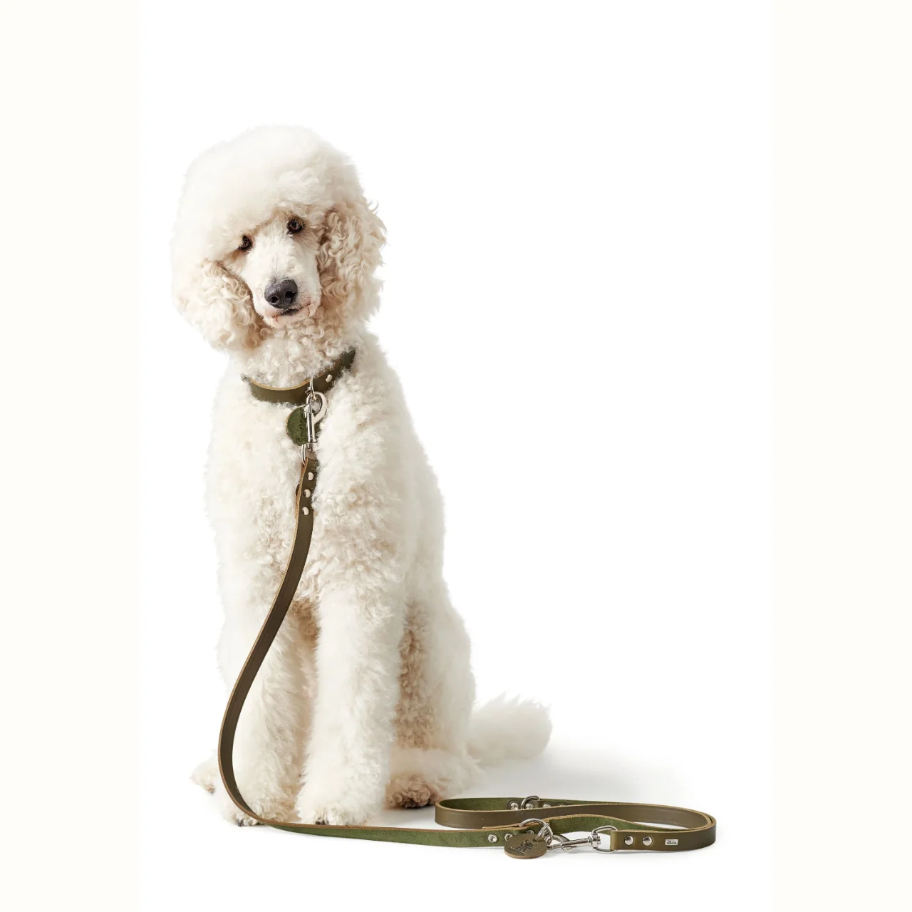 Hunter Aalborg Sport Oliven 37 hundehalsbånd - 28-33 cm