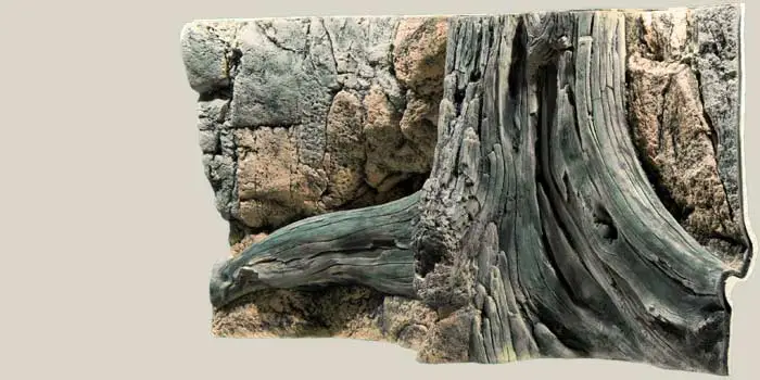 Back to Nature Amazonas 100 cm