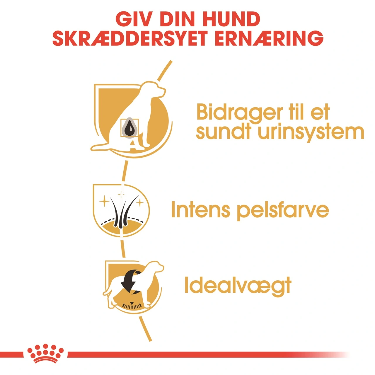 Royal Canin Miniature Schnauzer Adult 3 kg - tørfoder til små hunde