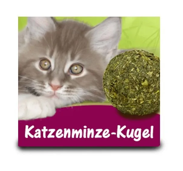 JR Farm Kat Catnip Bold