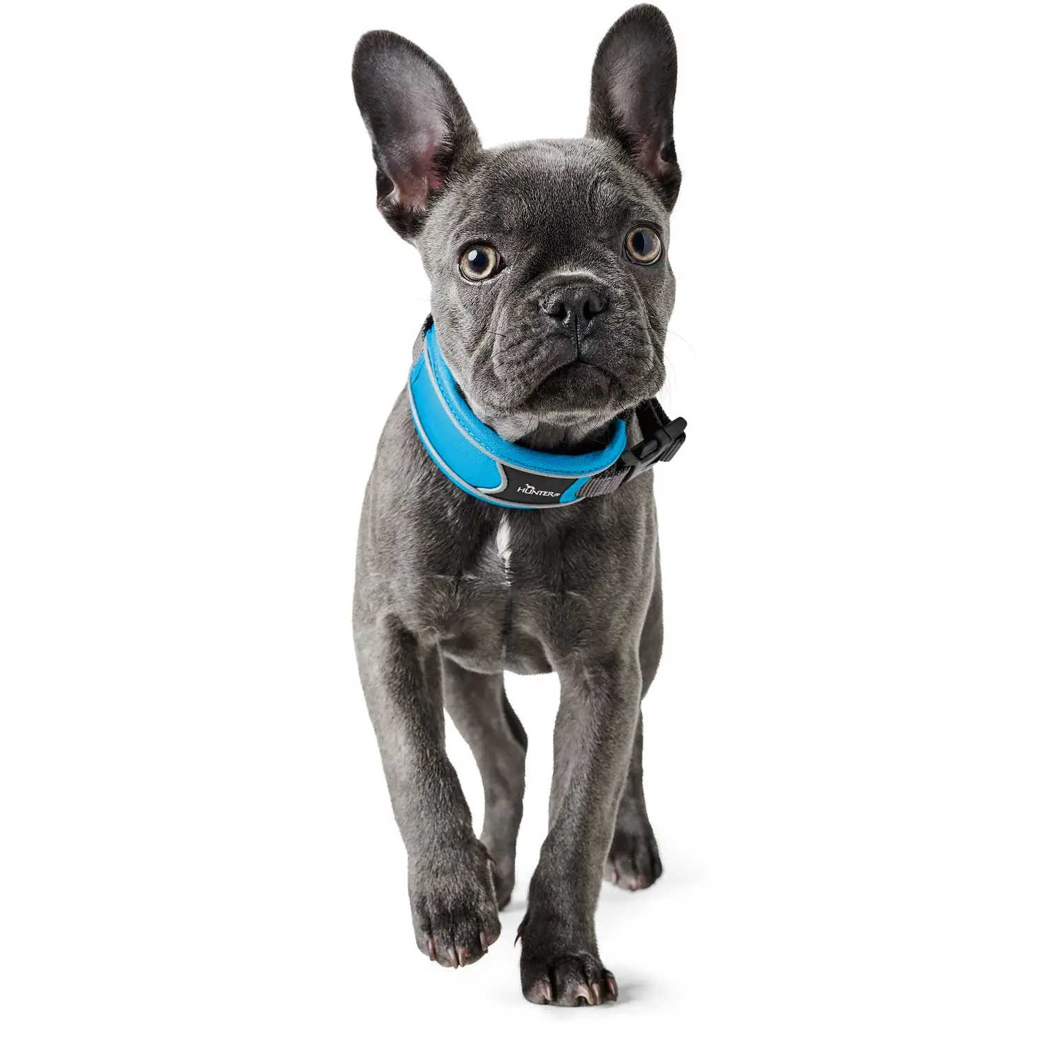 Hunter Halsbånd Divo M Lyseblå/Grå - justerbart hundehalsbånd (35-45 cm, B 4,5 cm)