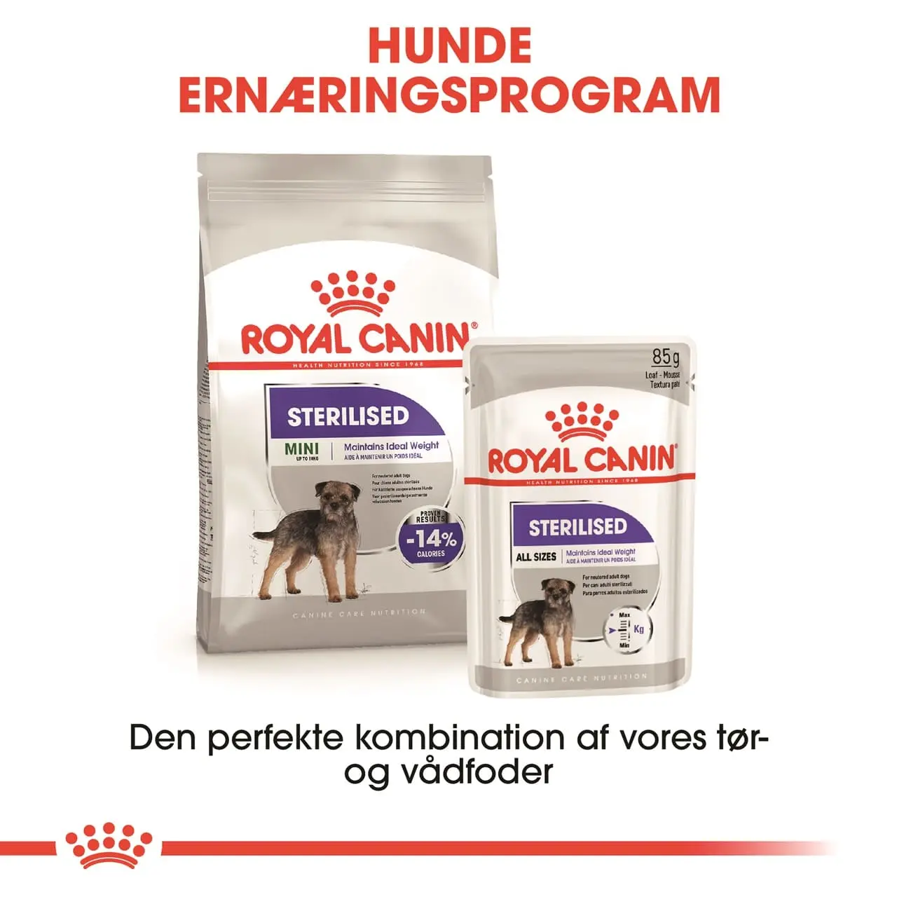 Royal Canin Mini Sterilised Adult 8 kg - hundefoder til steriliserede små hunde