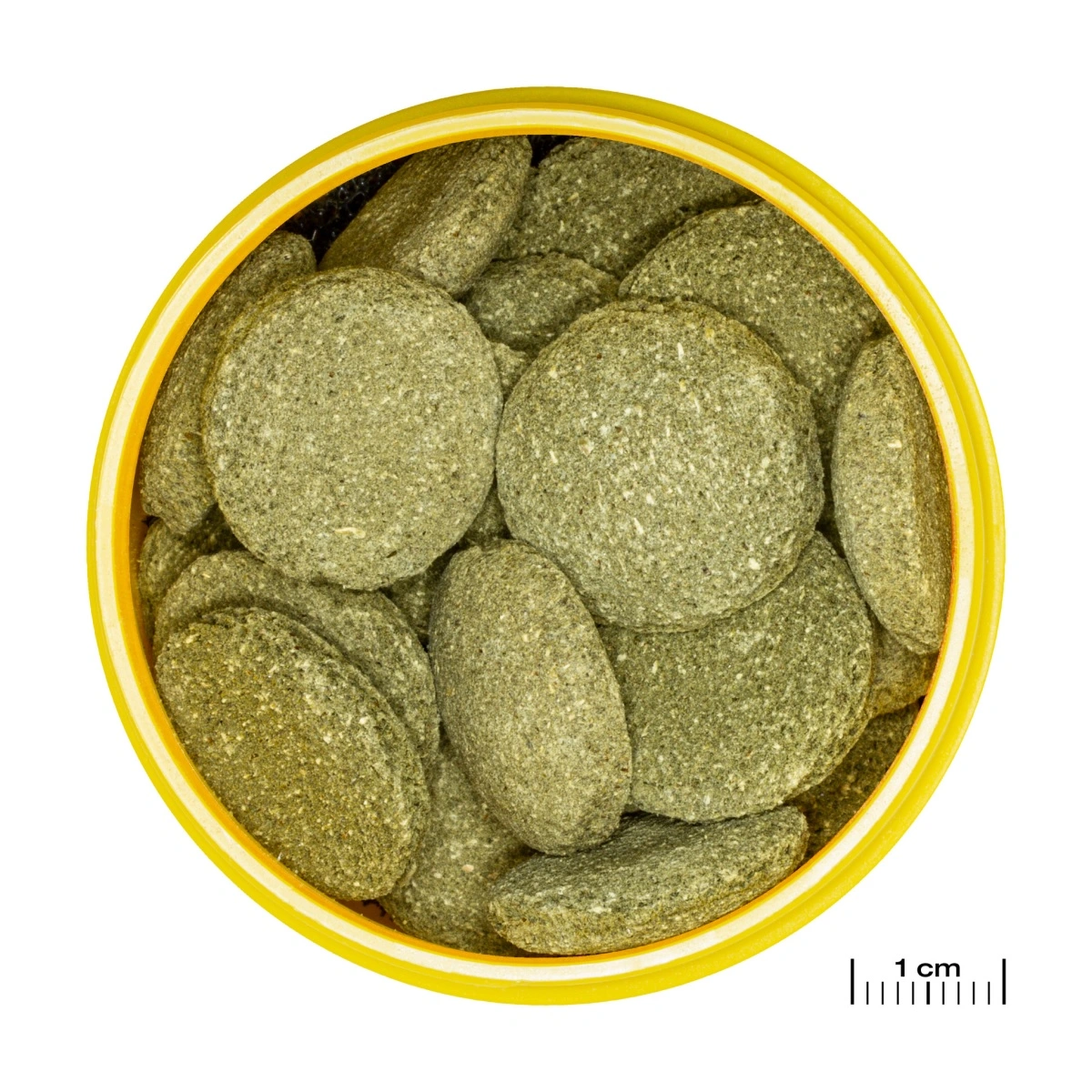 JBL ProNovo Pleco Wafer XL 1000 ml
