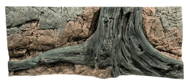 Back to Nature Amazonas 120 cm