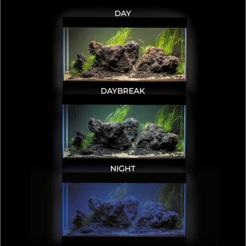 AquaEl Akvarie og Lampe Ultra Scape 60 Forest