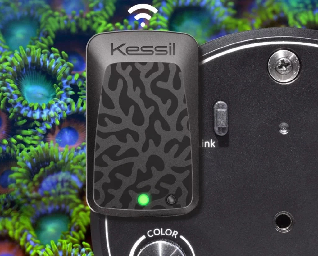 Kessil WiFi Dongle EU version