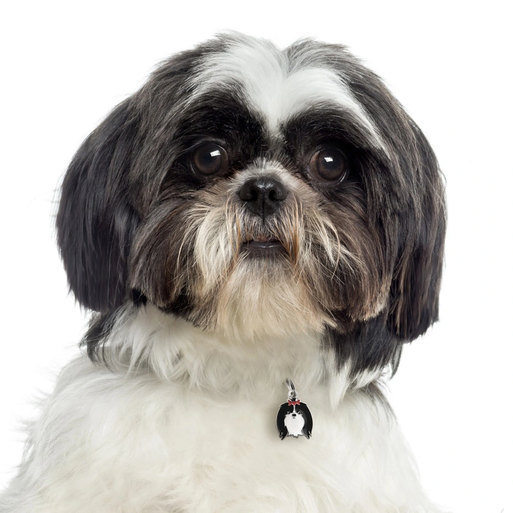 My Family Hundetegn Friends Shih Tzu Sort