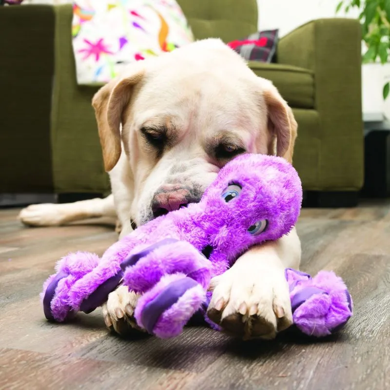 KONG Hundelegetøj SoftSeas Octopus Lilla L 27 cm - blæksprutte bamse til hunde
