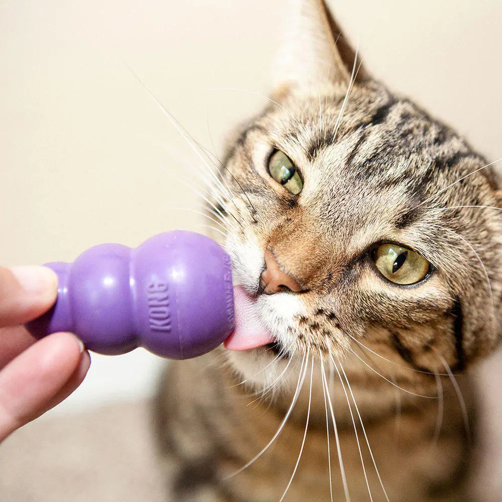 Kong Kattelegetøj Kitty 6 cm