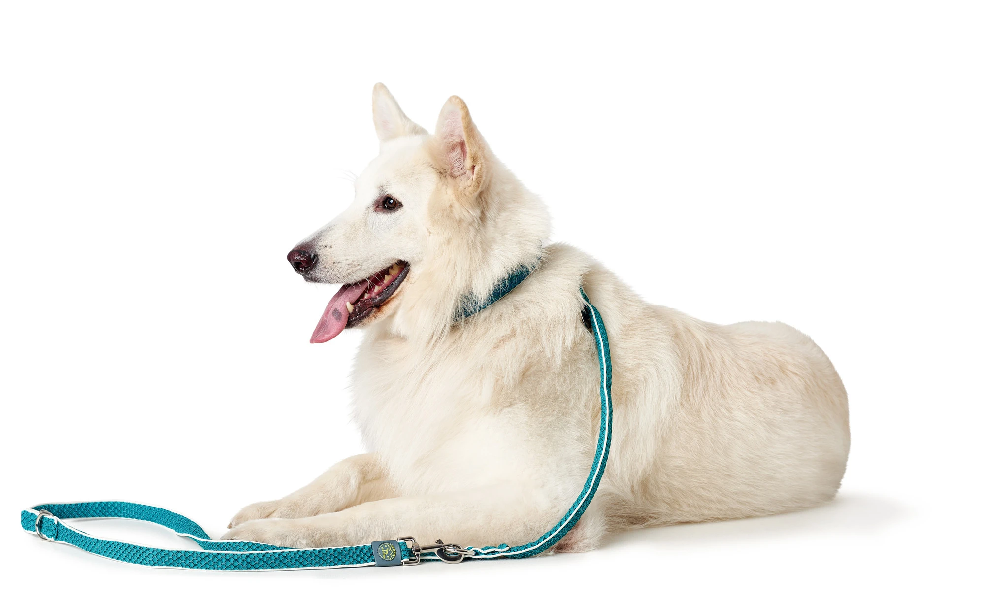 Hunter Hundesnor Hilo turkis 20/200