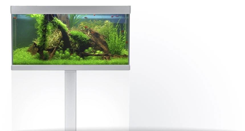 Akvastabil Fusion 325 liter akvarium