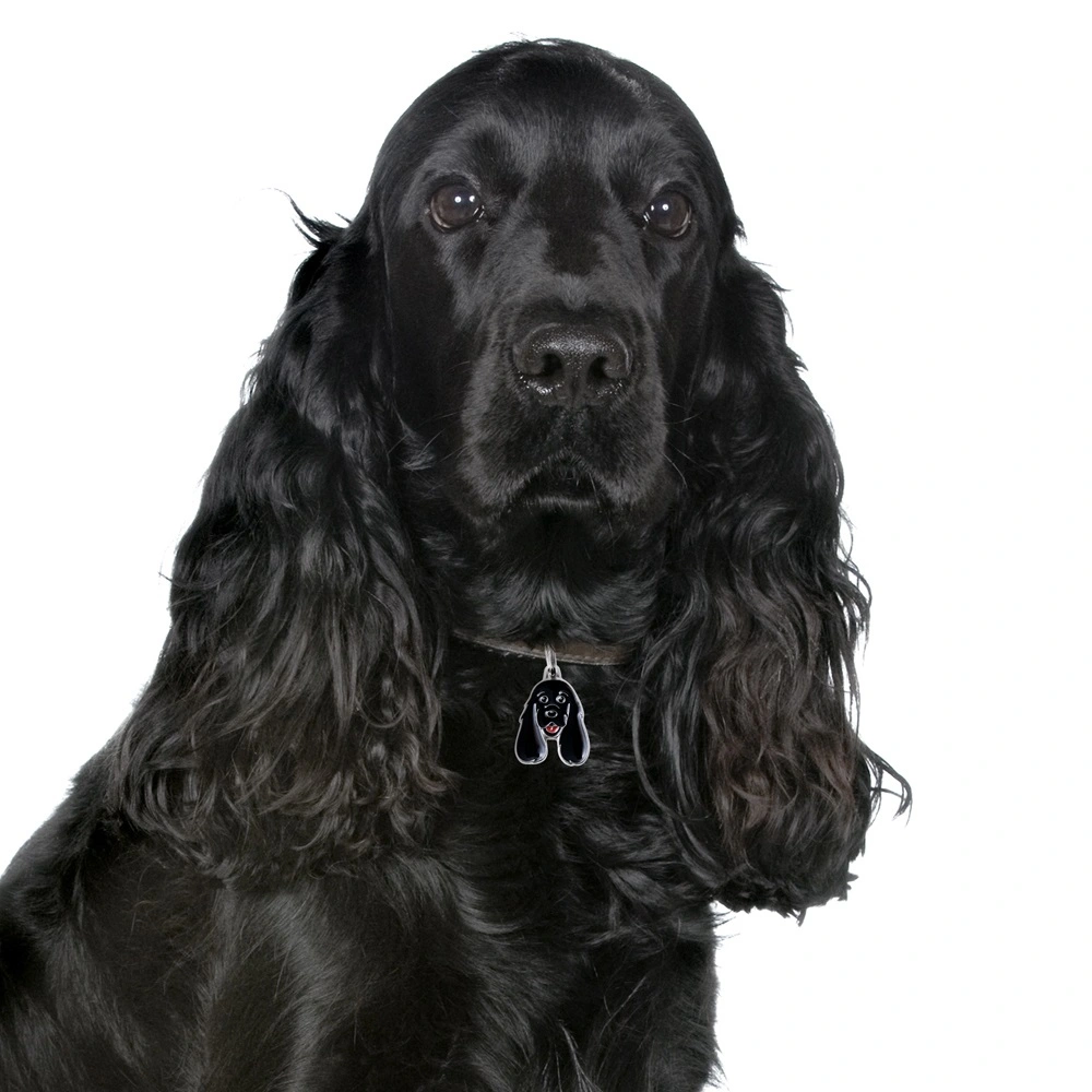 My Family Hundetegn Friends Cockerspaniel Sort