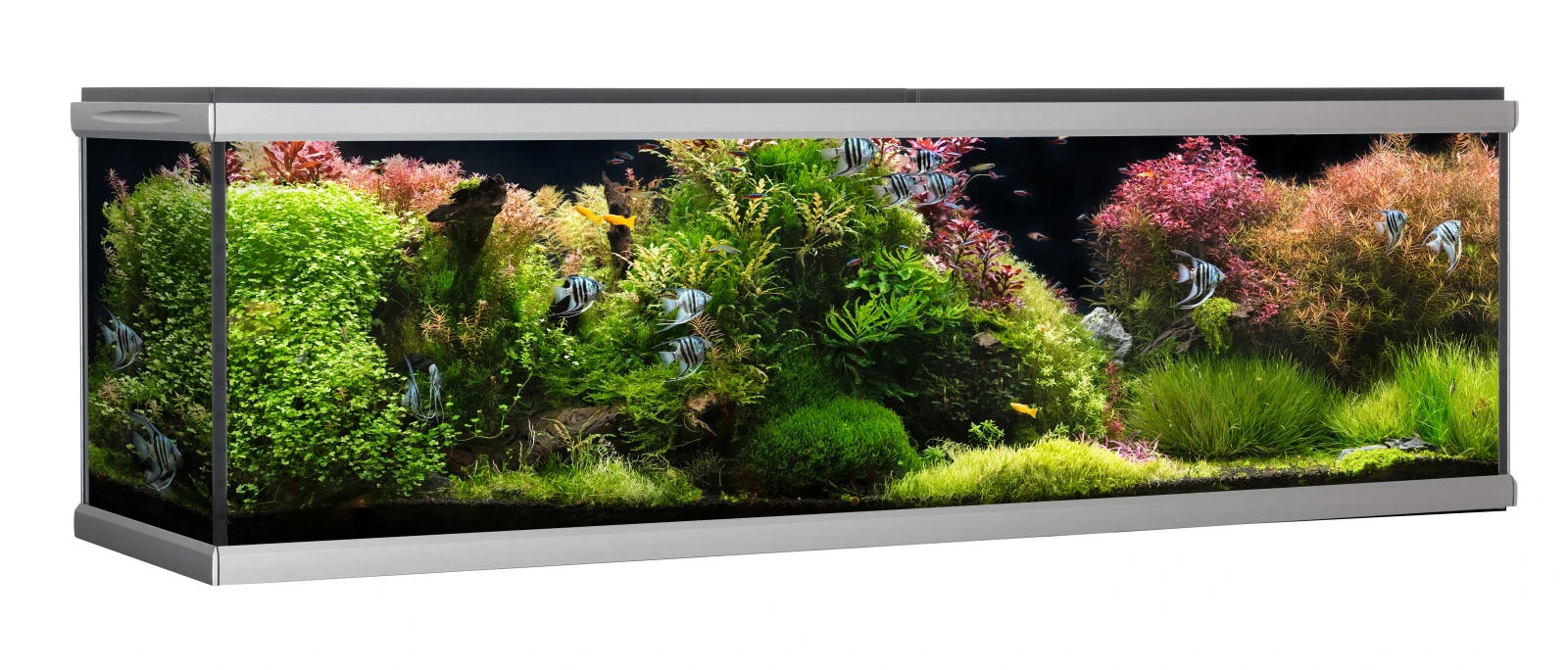 MOVE akvarium 720 liter Sort