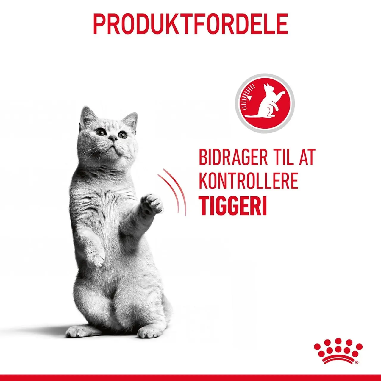 Royal Canin Care Appetite Control 2 kg