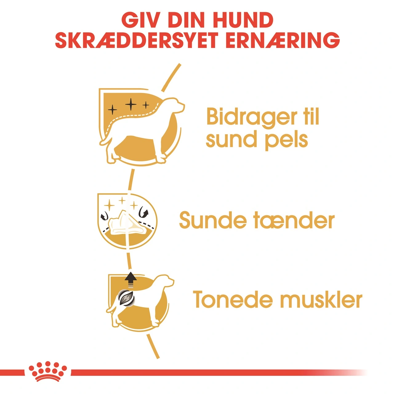 Royal Canin Poodle Adult 1,5 kg - tørfoder til voksne pudler