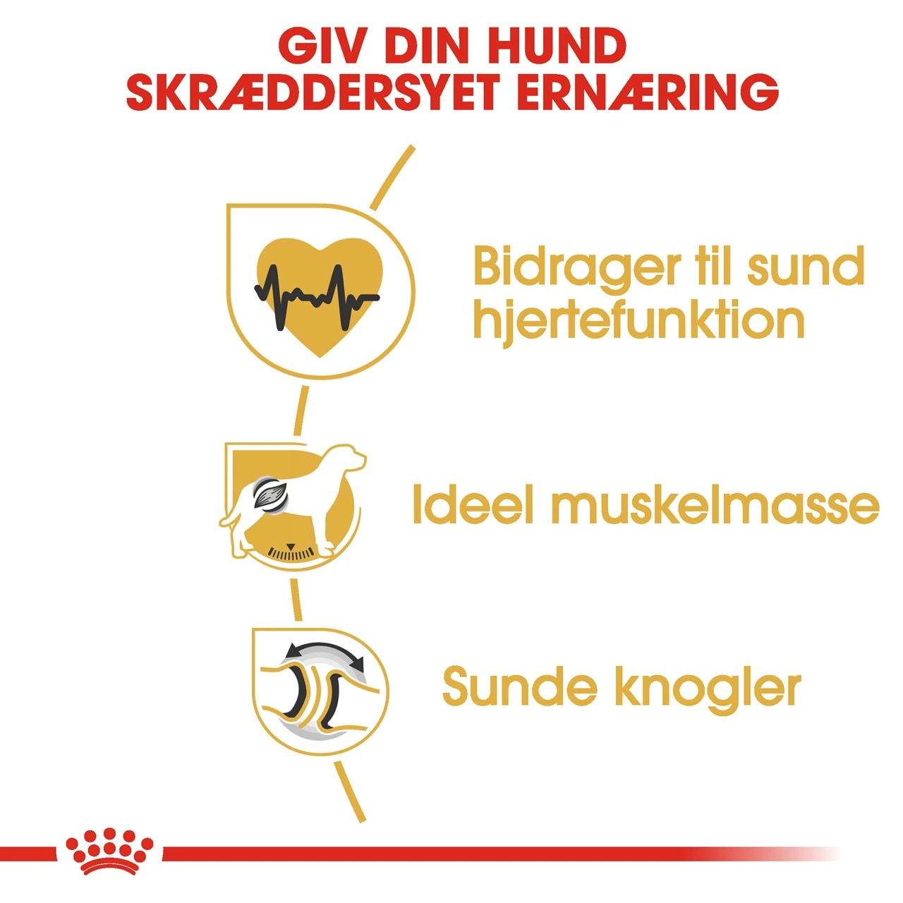 Royal Canin Rottweiler Adult 12 kg - tørfoder til voksne hunde