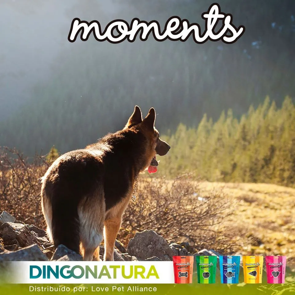 Moments hundesnack Laks 60 g - fuldfoder hundesnacks