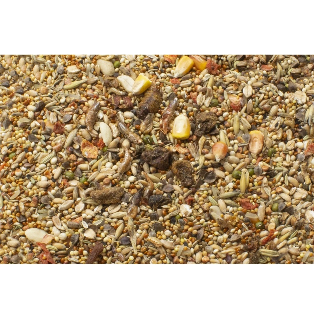 JR Hamster Fuldfoder 600 g (smovs)