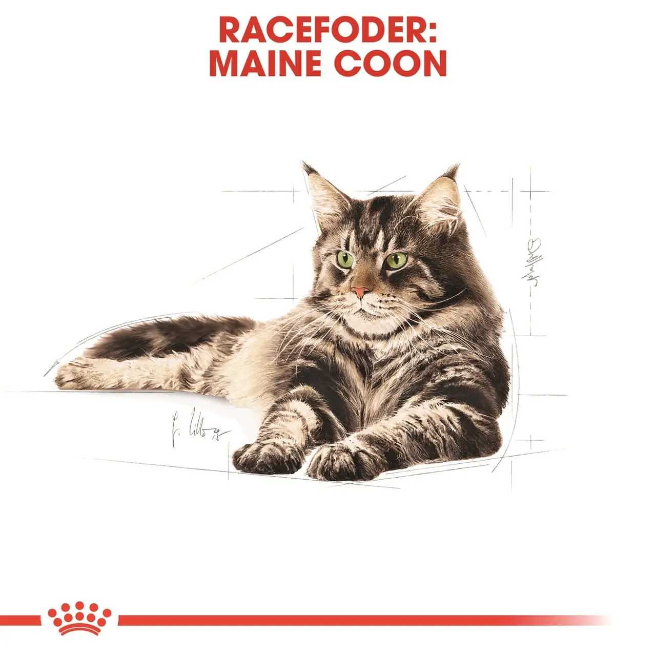 Royal Canin Maine Coon 400 gram