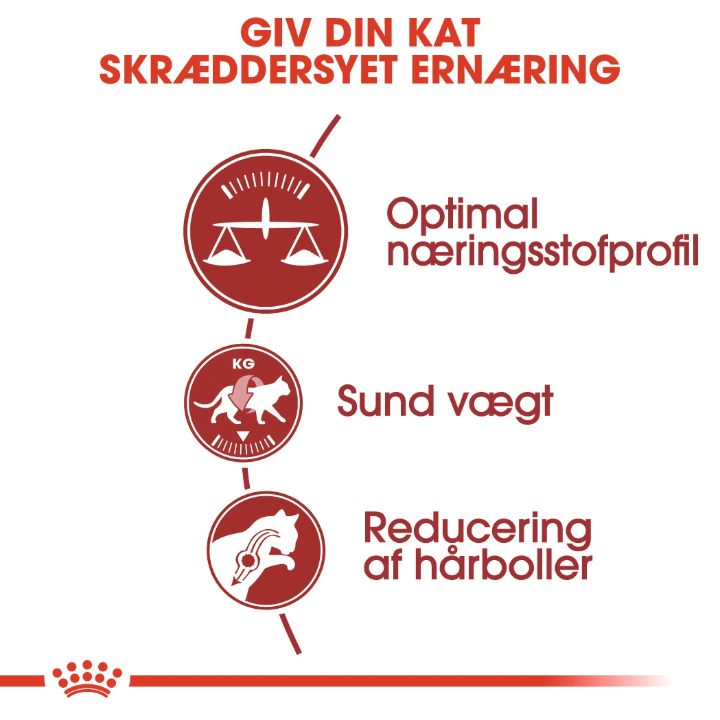 Royal Canin Regular Fit 32 4 kg