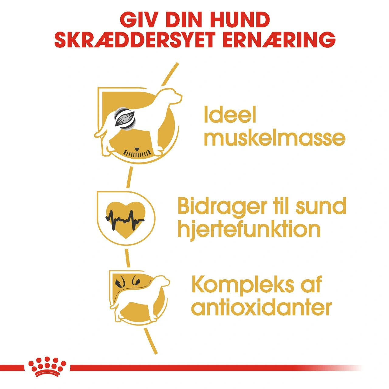 Royal Canin Boxer Adult 12 kg - fuldfoder til voksne boxere