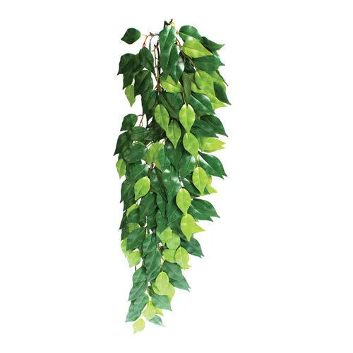 Exo Terra Ficus stor