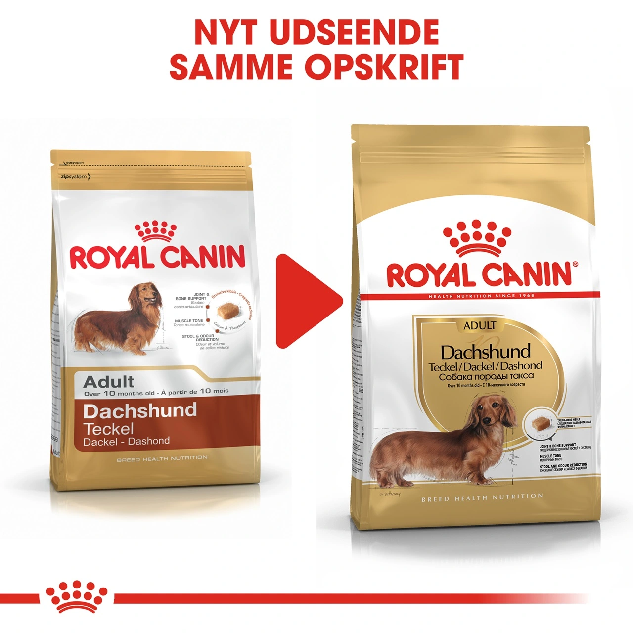 Royal Canin Dachshund Adult 7,5 kg - tørfoder til gravhunde