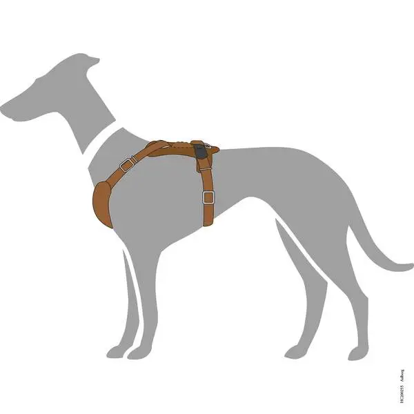 Hunter Hundesele Aalborg cognac XS - Bryst/hals 38-52 cm