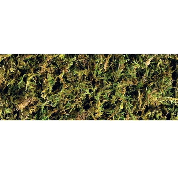 Exo Terra Forest Moss 2 x 7 liter
