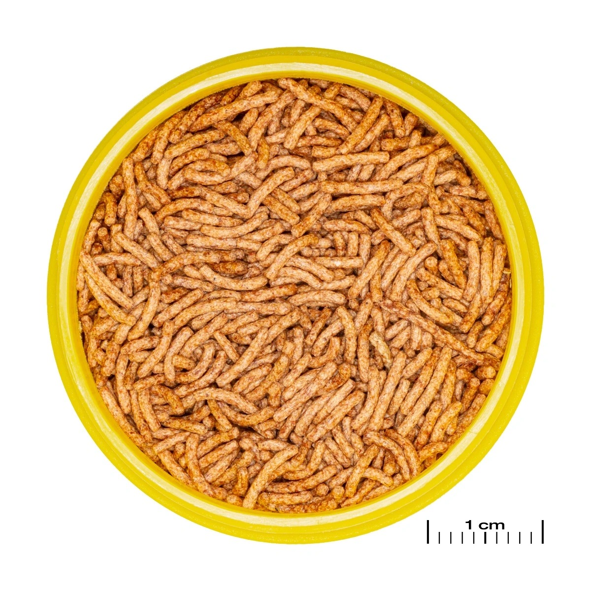 JBL ProNovo Betta Insektsticks S 100 ml