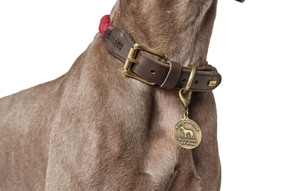 Hunter List Reb Halsbånd S Beige - 41-49 cm