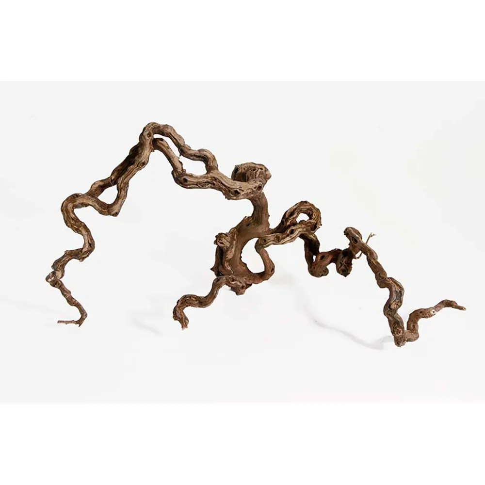 Vinrankerod 40-70 cm (Winewood)