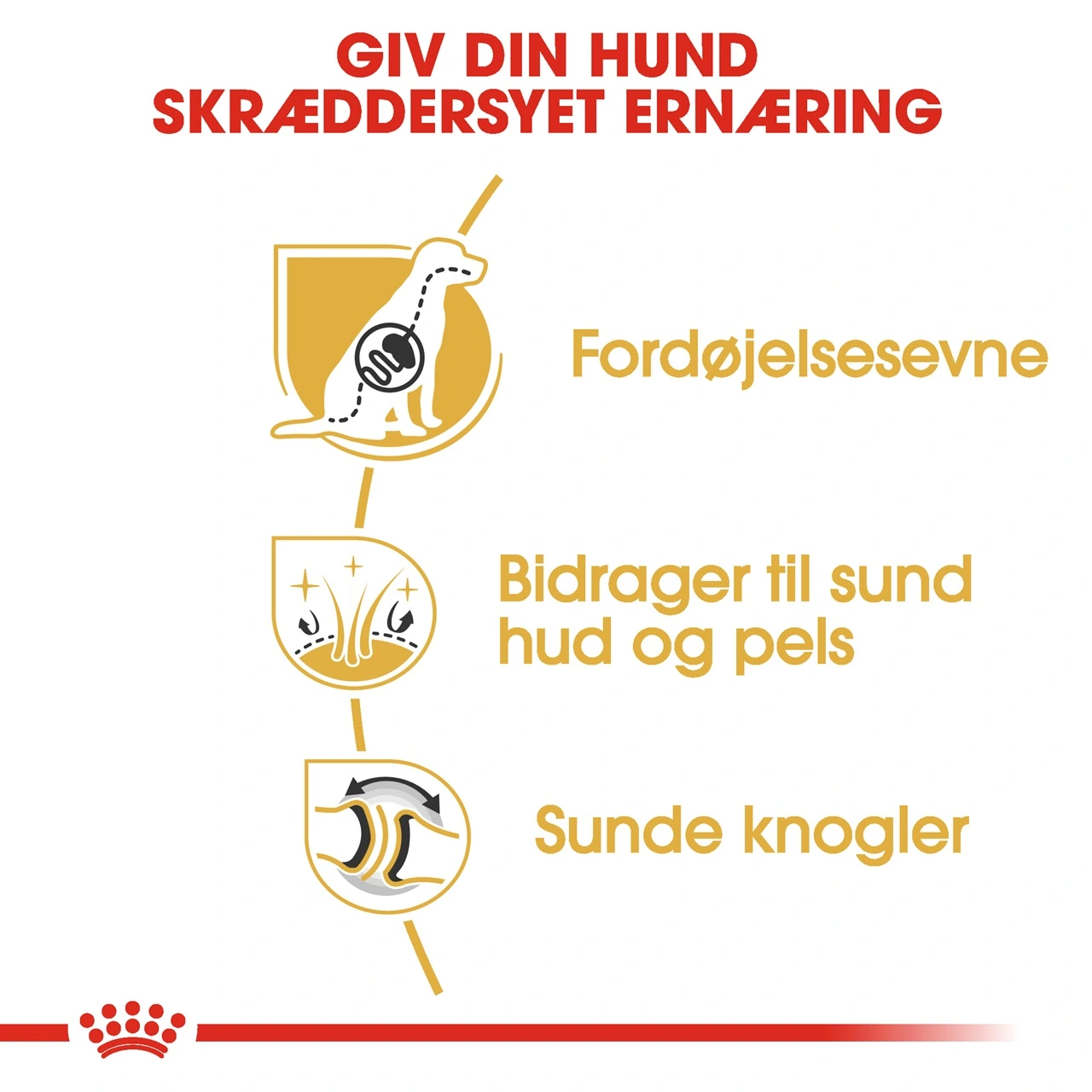 Royal Canin German Shepherd Adult 11 kg - tørfoder til voksne hunde