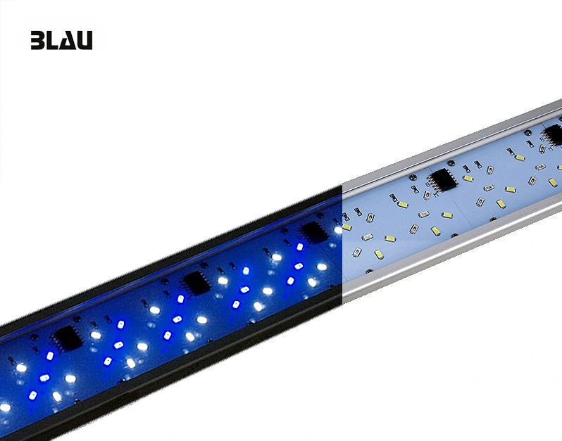 Blau Saltvandsakvarium All in One 91 Liter