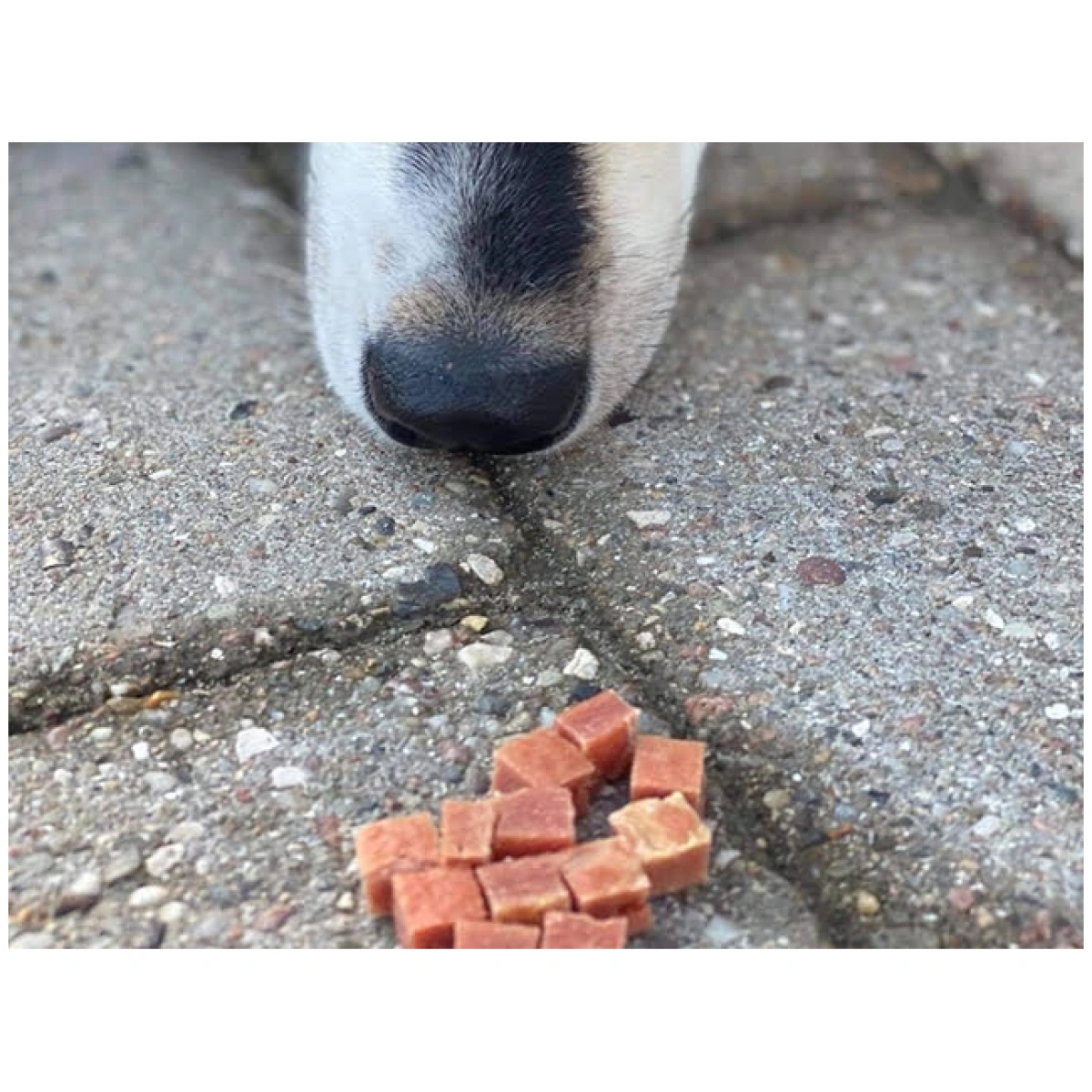 Woolf Hundesnack And Chunkies