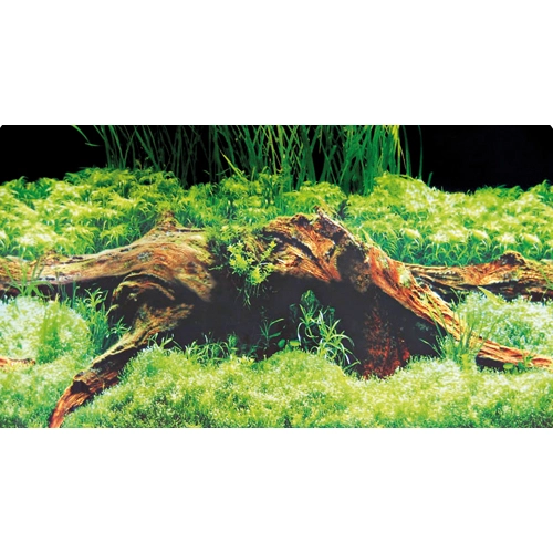Baggrund til akvarium Beplantet og mos (50 cm høj) 100 cm
