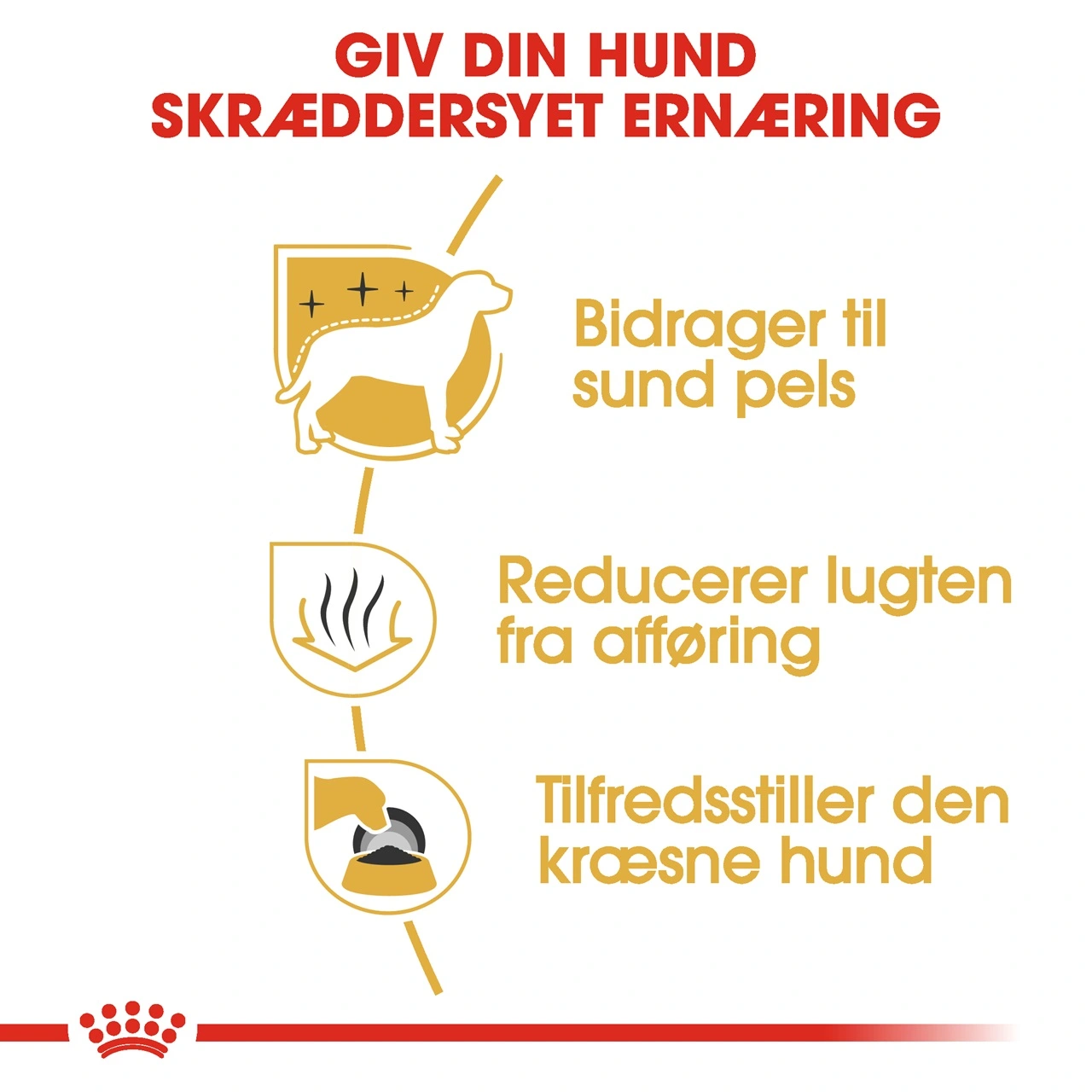 Royal Canin Maltese Adult 1,5 kg - tørfoder til maltesere