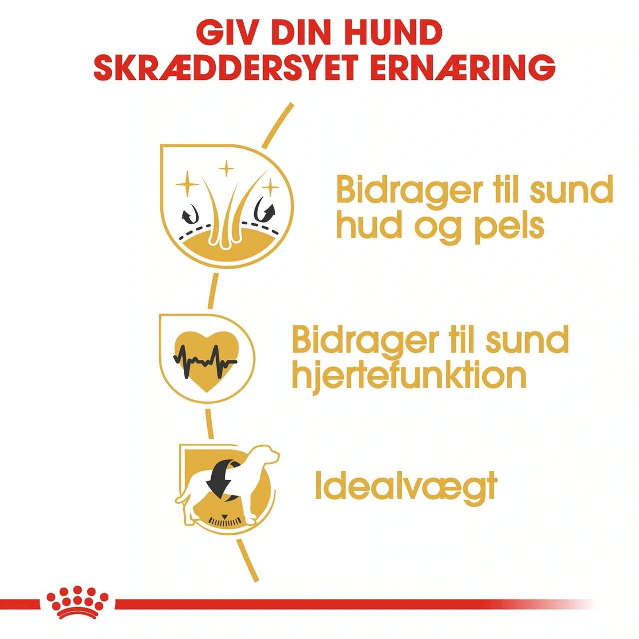 Royal Canin Golden Retriever Adult 12 kg - tørfoder til voksne hunde